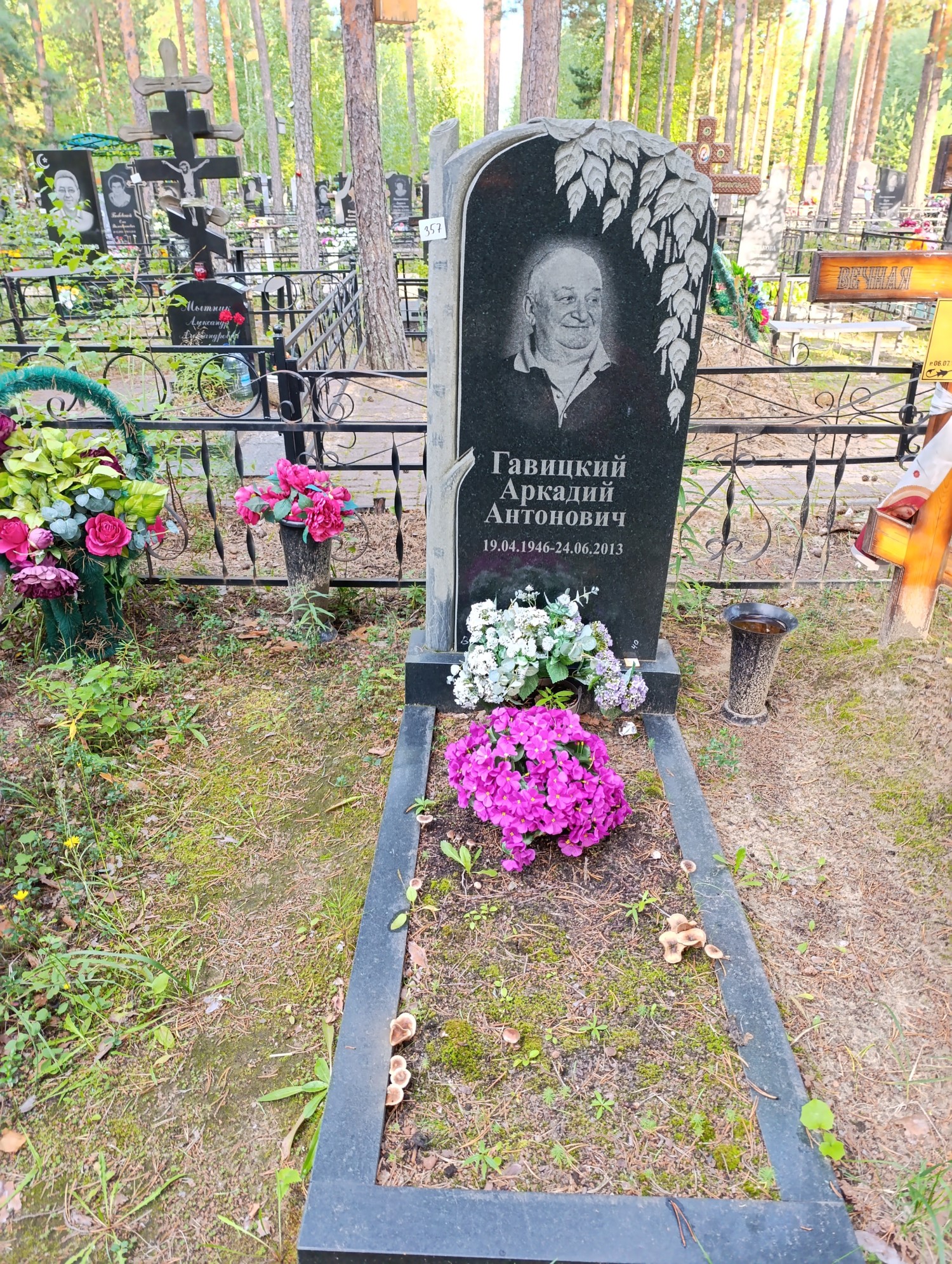 Гавицкий Аркадий Антонович