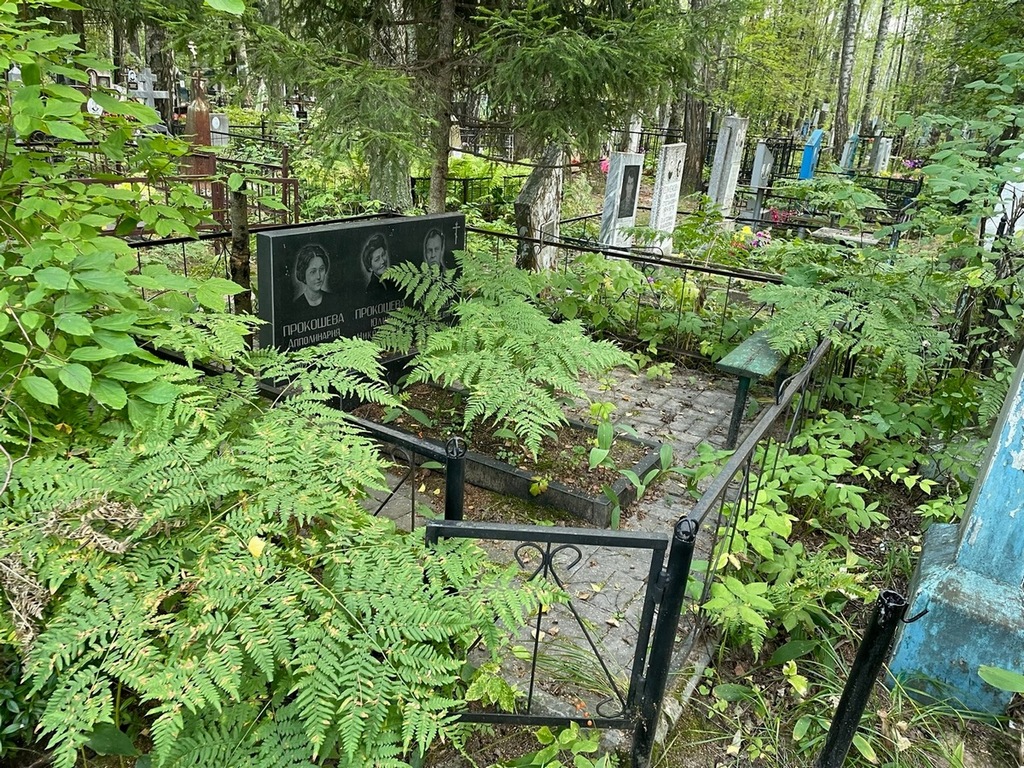 Прокошева Юлия Николаевна