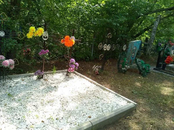 Ковков Анатолий