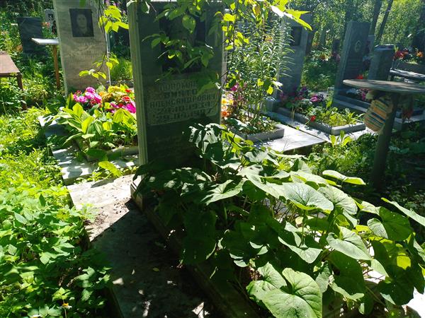 Пономарев Виктор Александрович