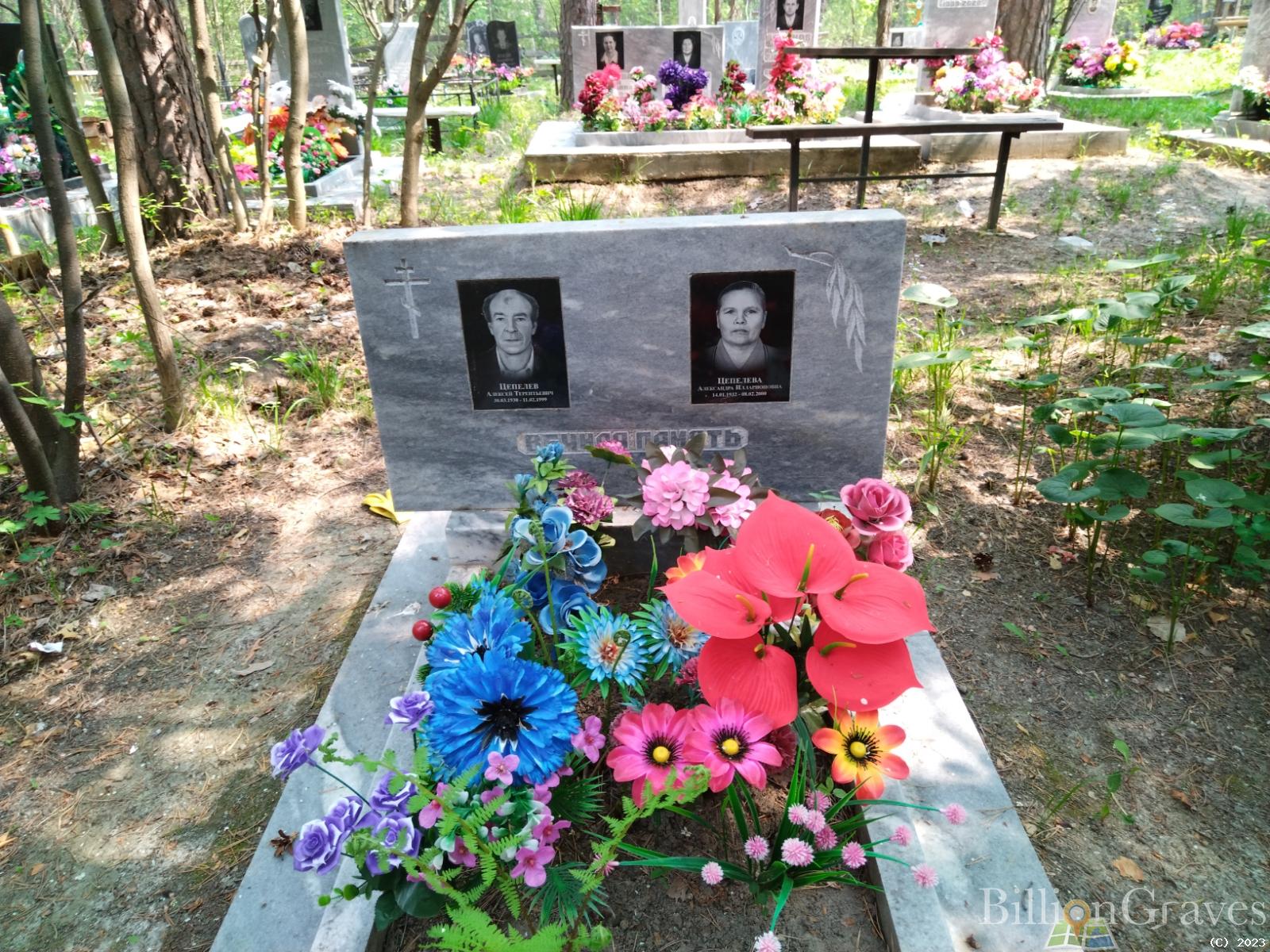 Цепелев Алексей Терен