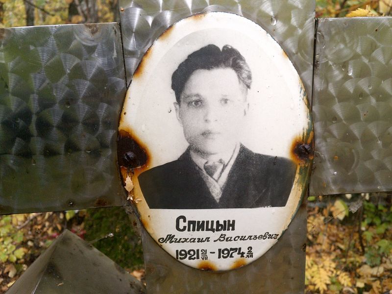 Спицын