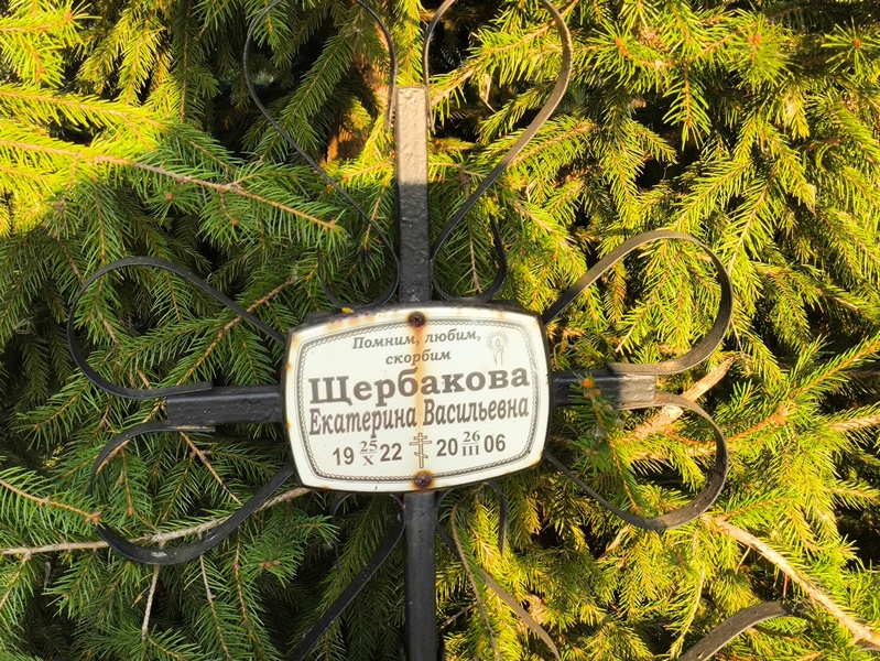 Щербакова