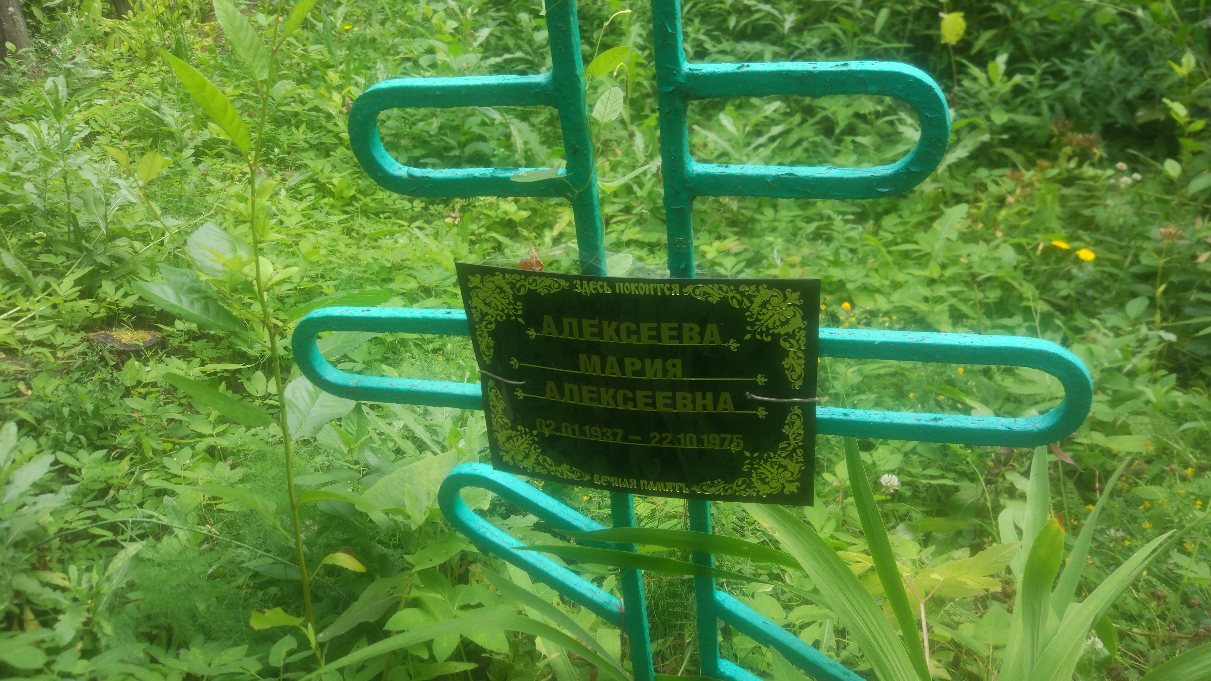 Алексеева Мария Алексеевна