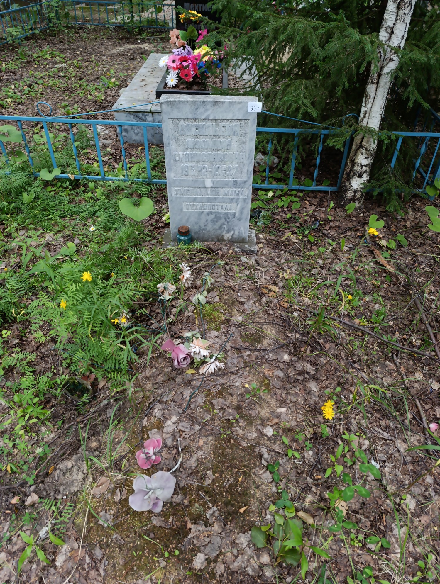 Васильева Людмила Станиславовна