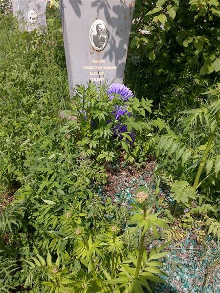 Зарипов закир Сахаутдинович