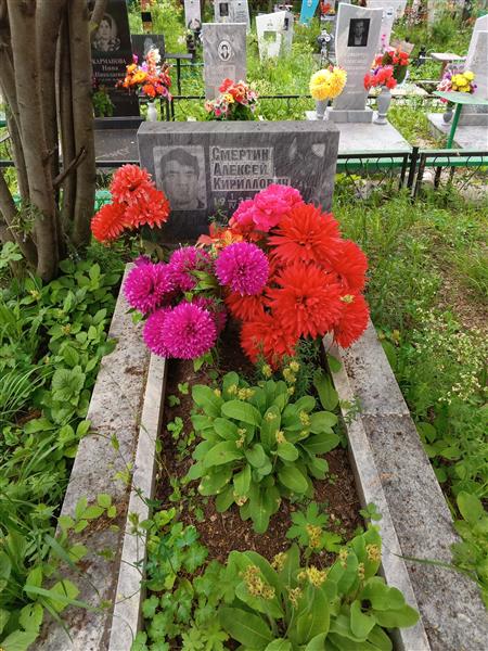Смертин Алексей Кириллович