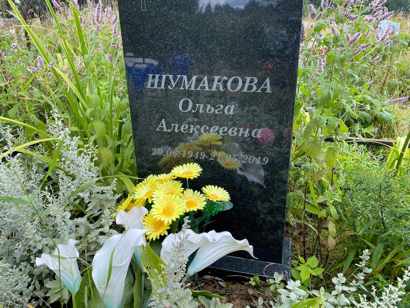 Шумакова