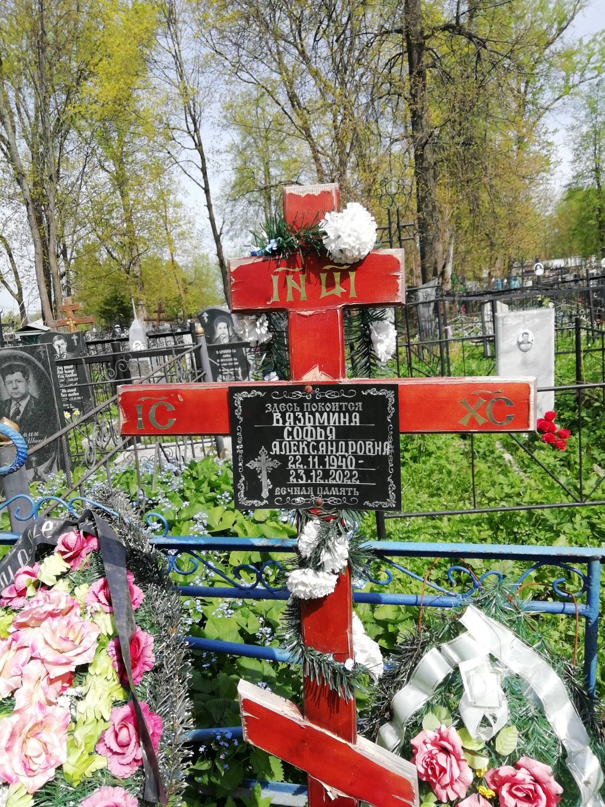 Вязьмина Софья Александровна