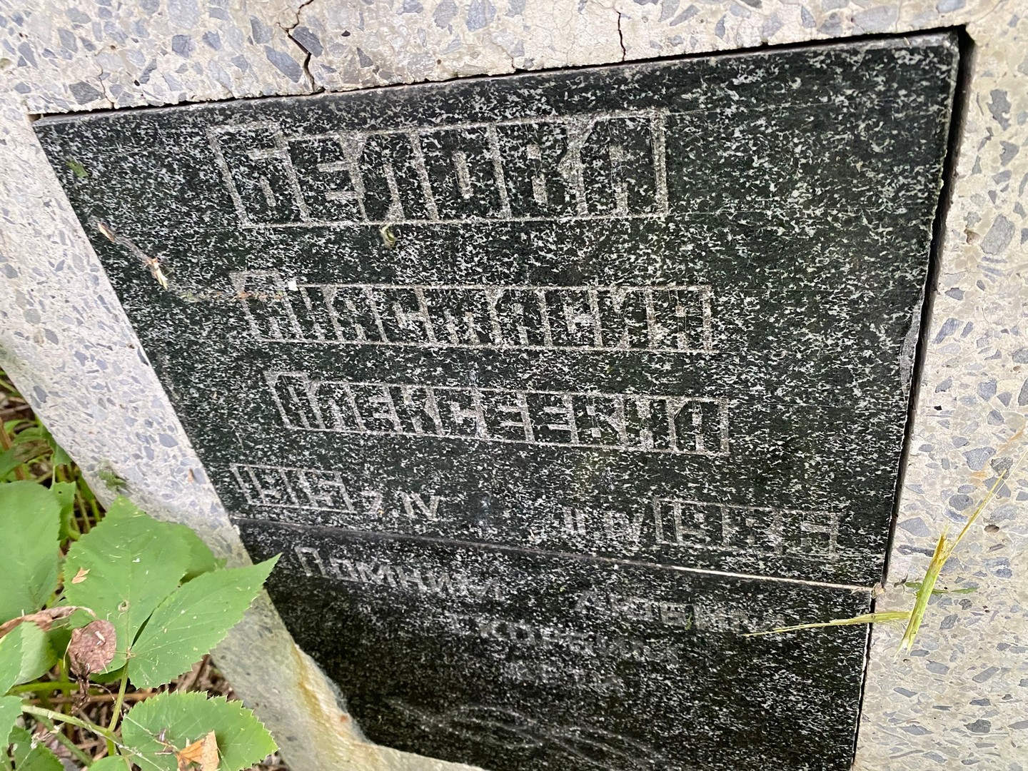 Белова Анастасия Алексеевна