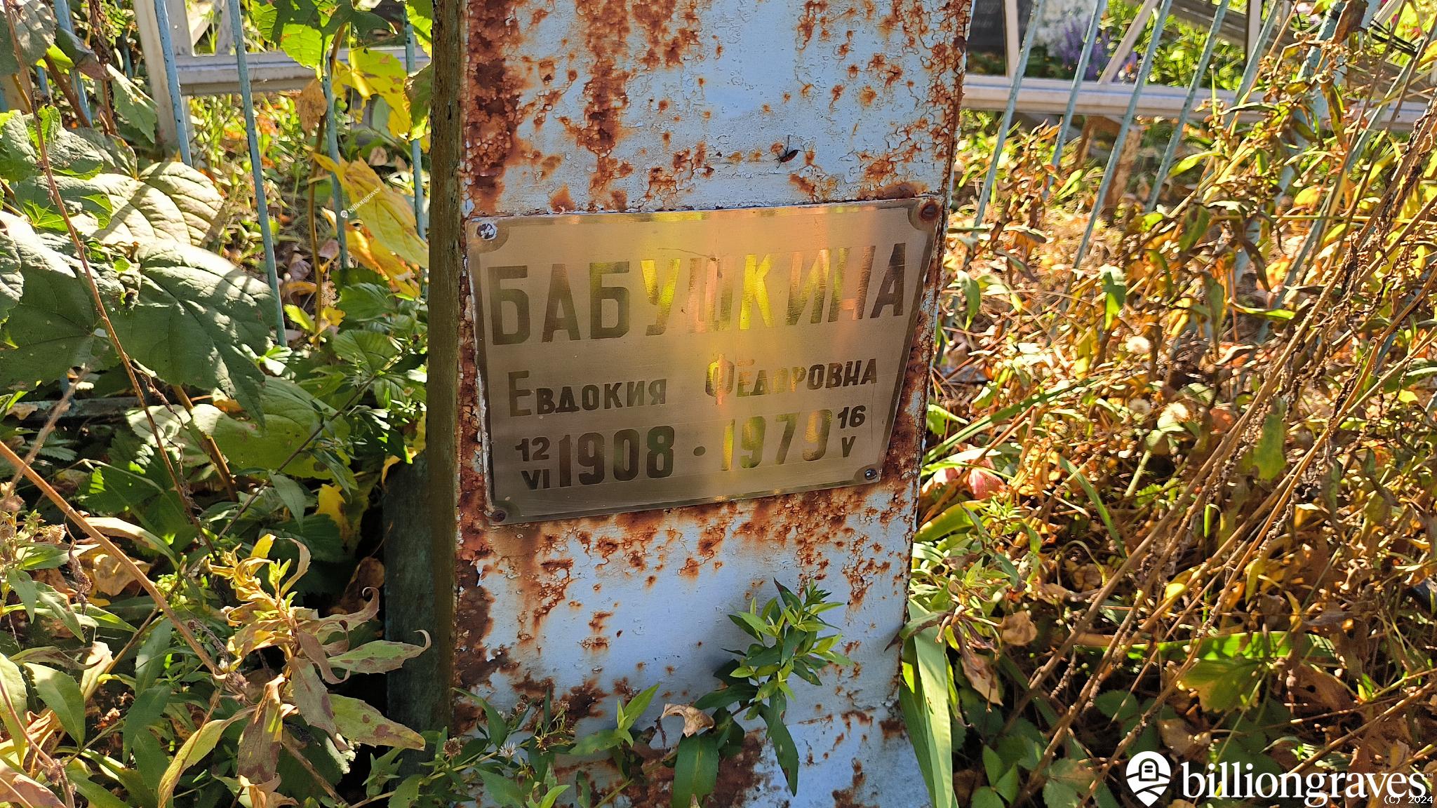 Бабушкина Евдокия Фёдоровна