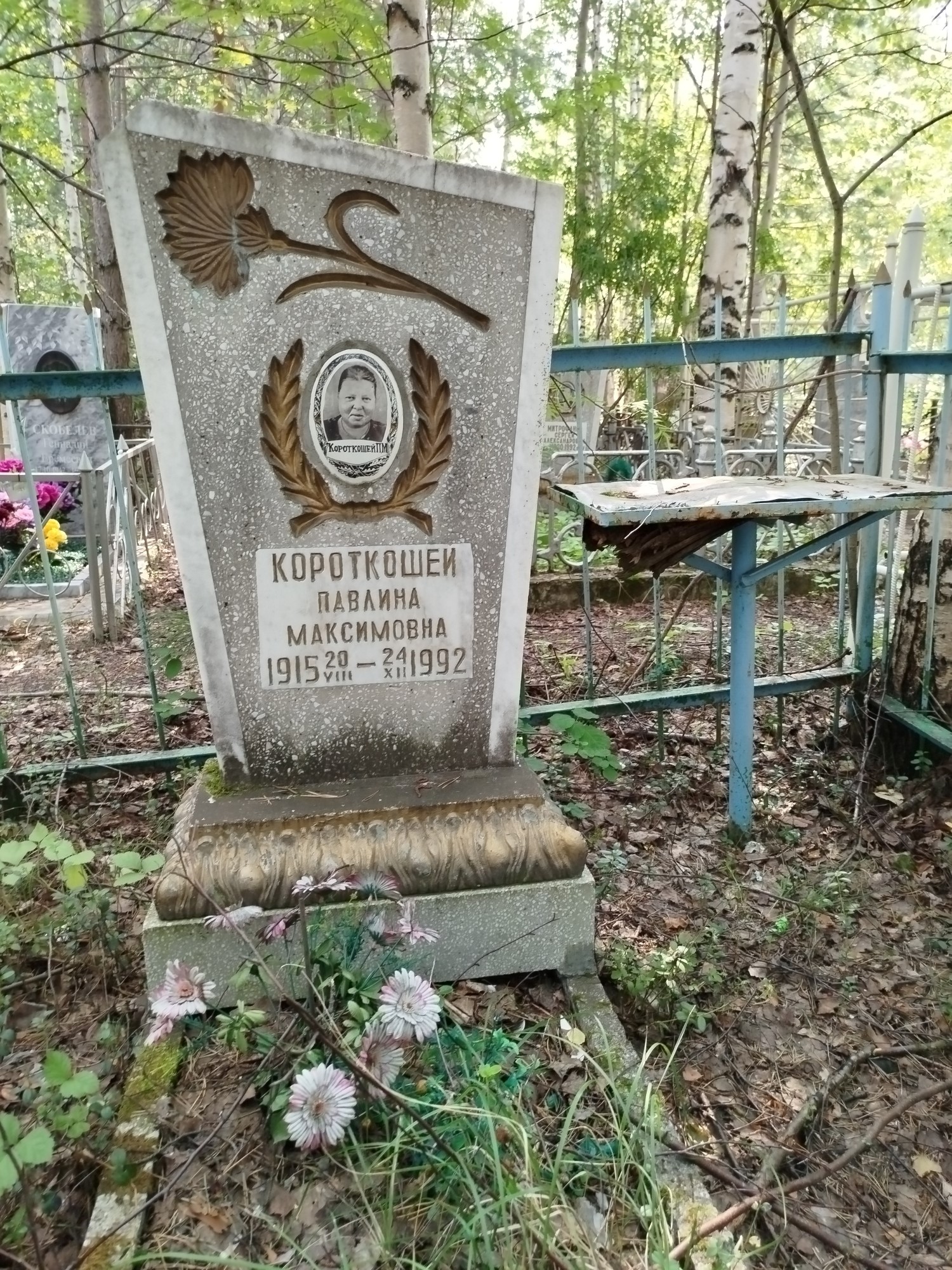 Короткошей Павлина Максимовна