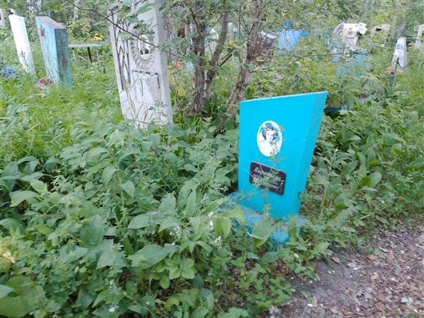 Карелина Любовь Николаевна