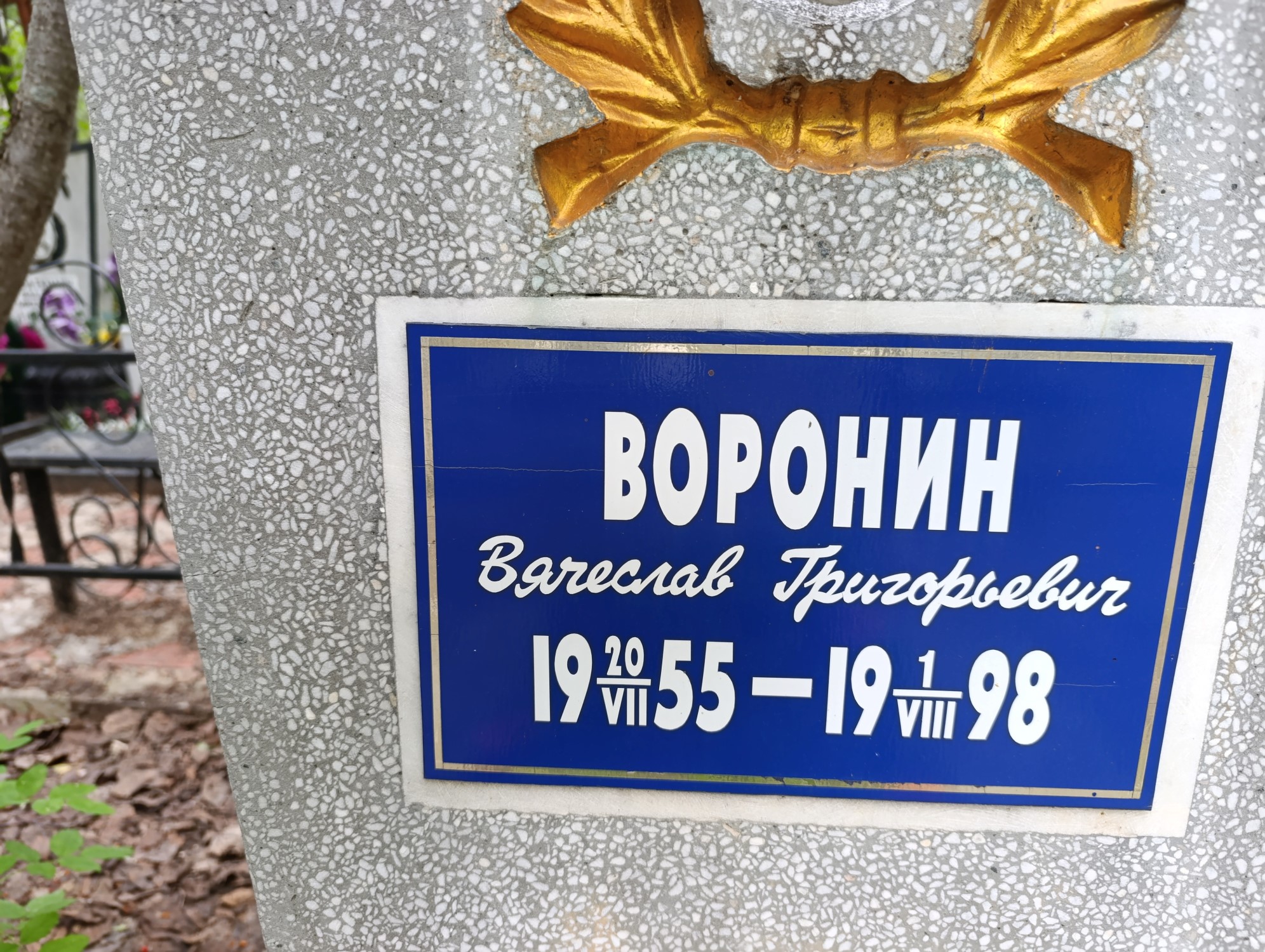 Воронин Вячеслав Григорьевич