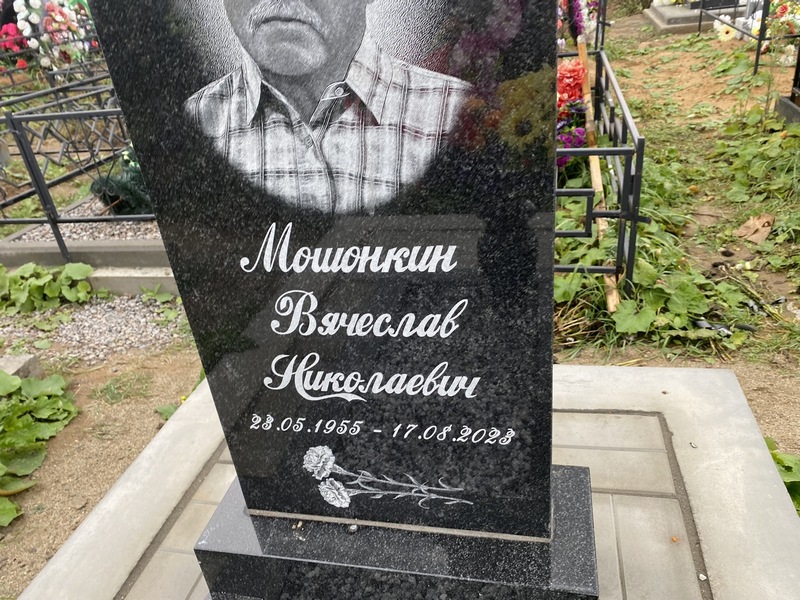 Мошонкин