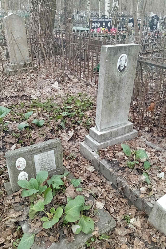 Лапин Николай Иванович