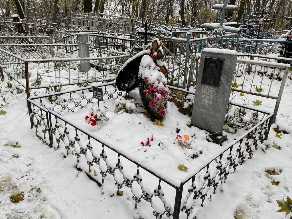 Дружинина Надежда Владимировна