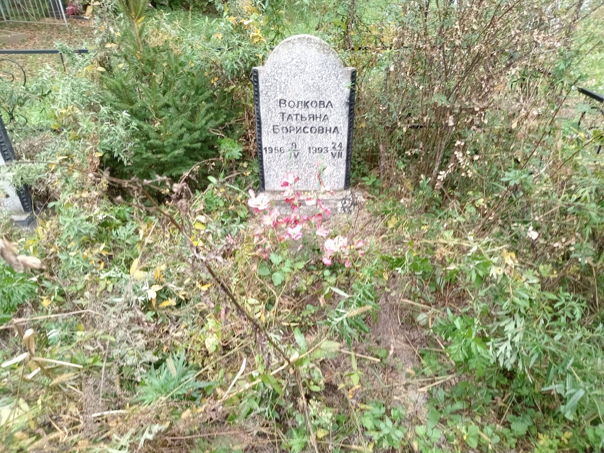 Волкова Татьяна Борисовна