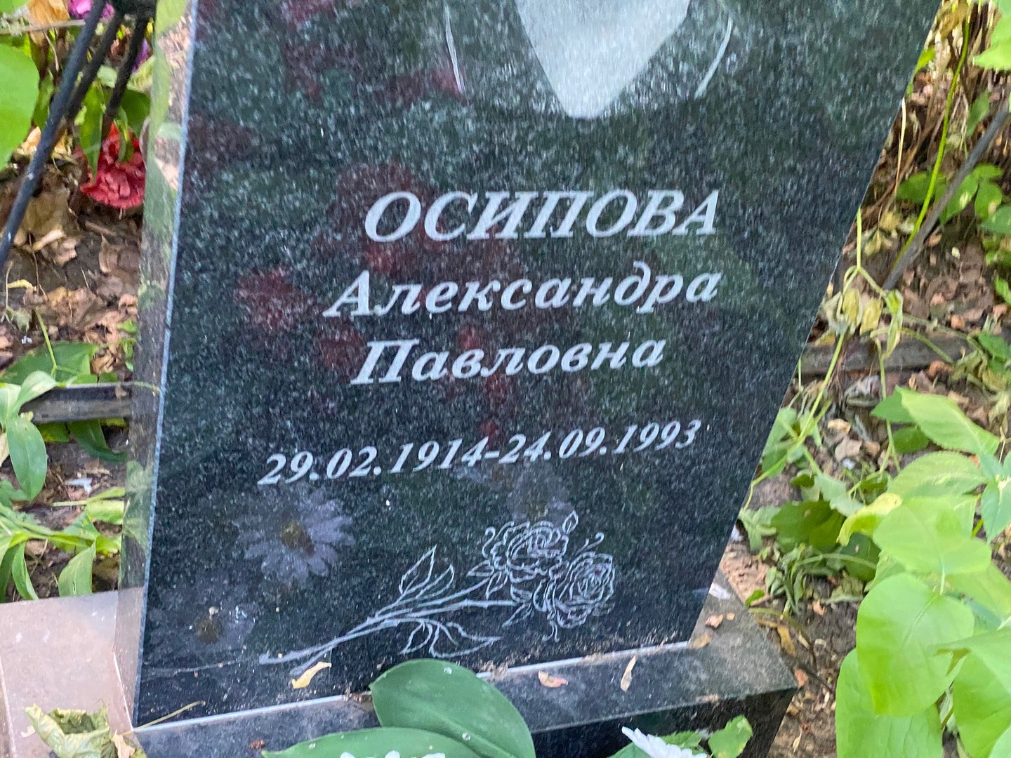 Осипова Александра Павловна
