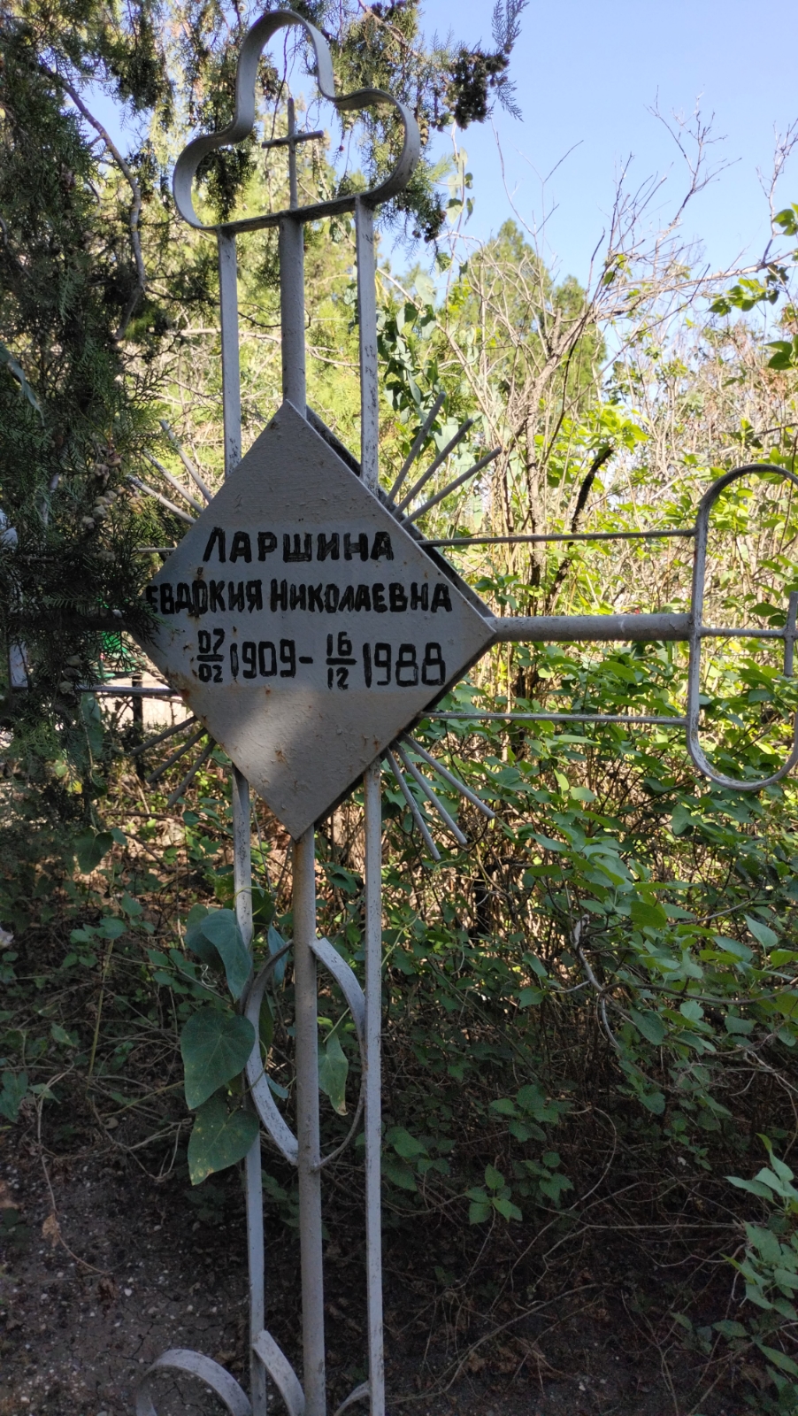 Ларшина Евдокия Николаевна