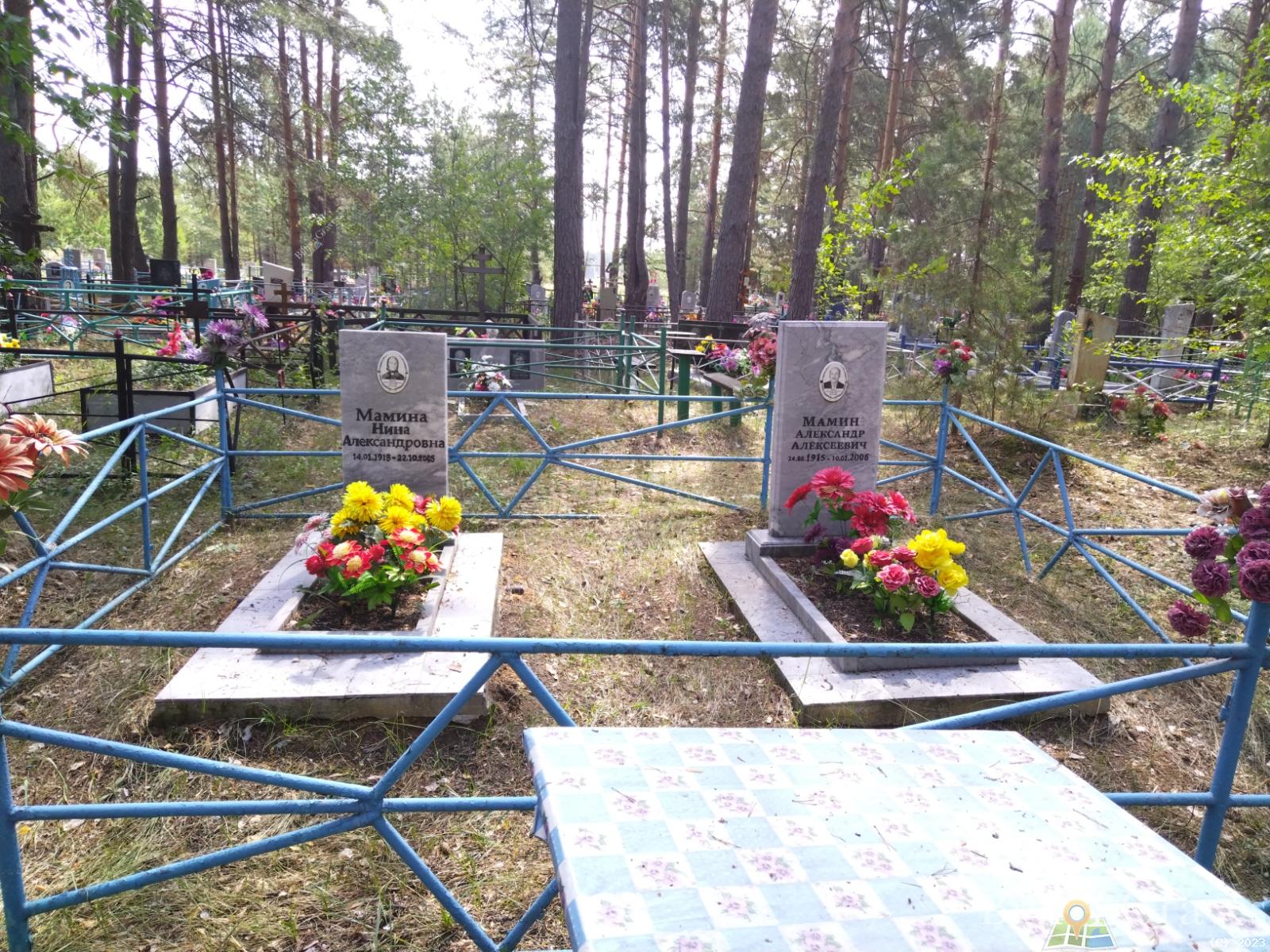 Мамин Александр Алексеевич