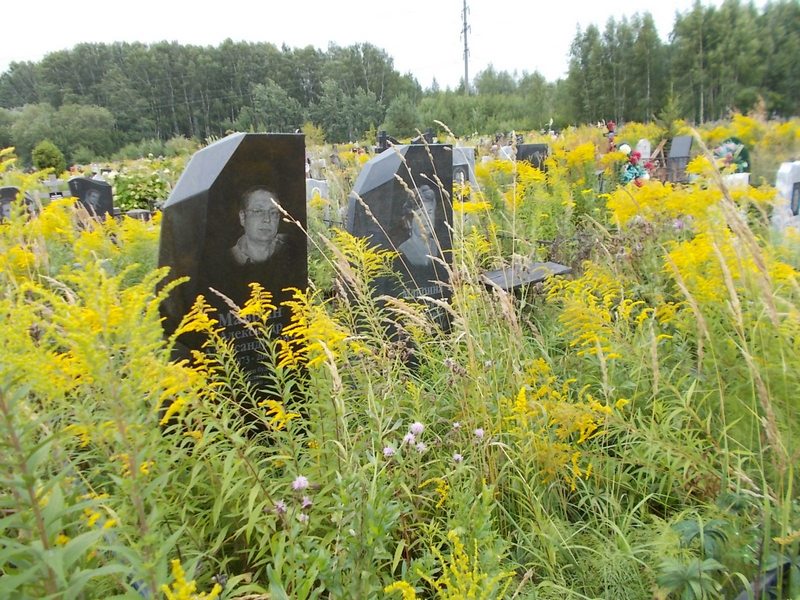 Маврин Александр Александрович