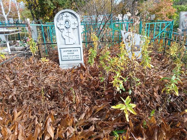 Тверская Нина Александровна