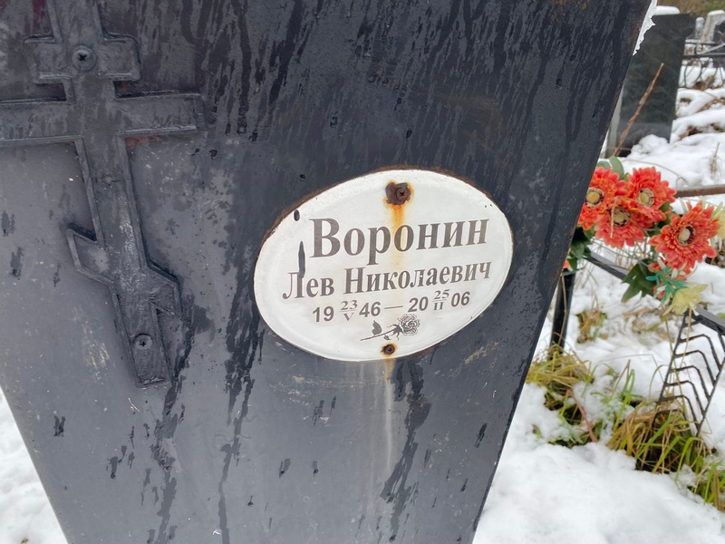 Лев Воронин Николаевич