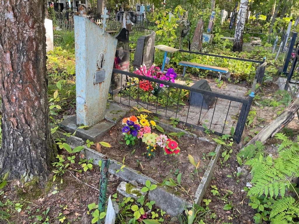 Поповичев Дмитрий Петрович