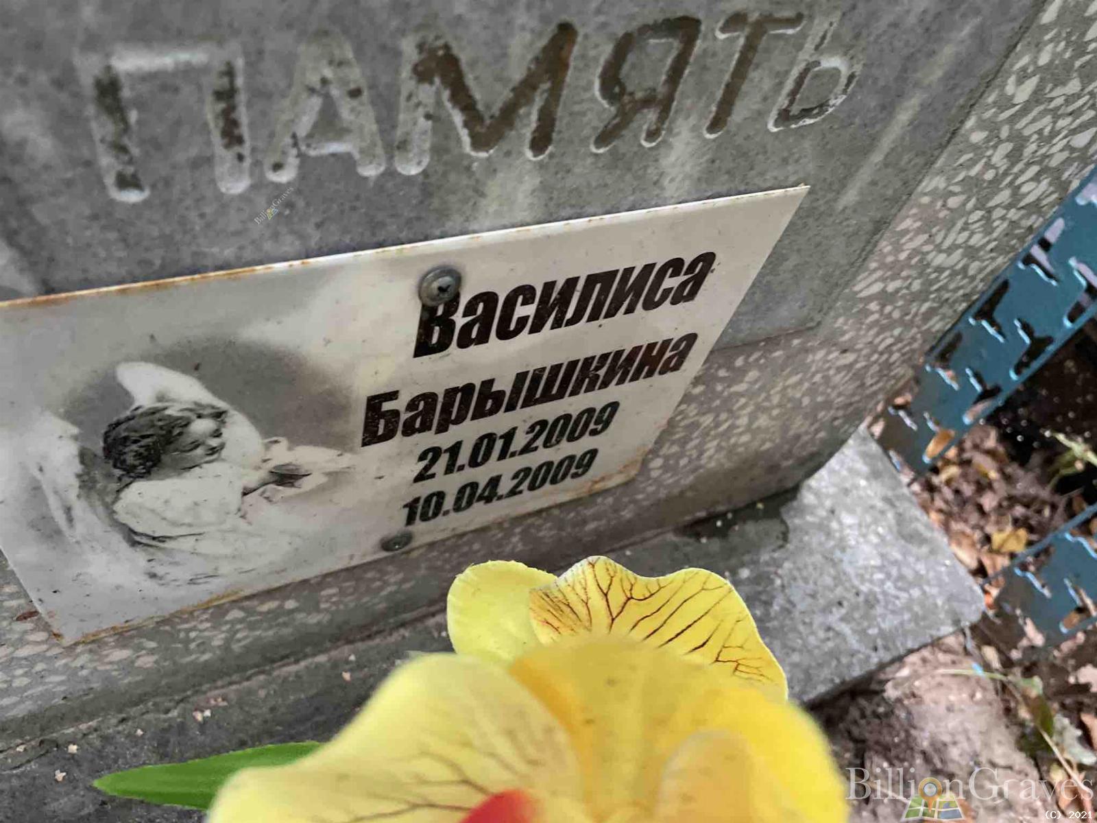 Барышкина Василиса