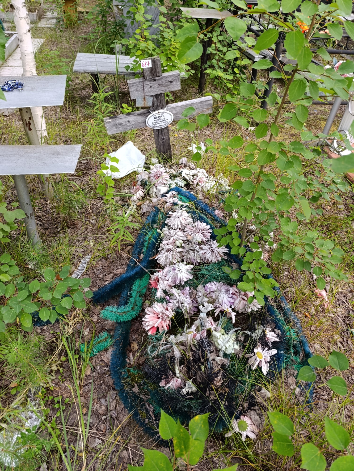 Кулик Николай Васильевич