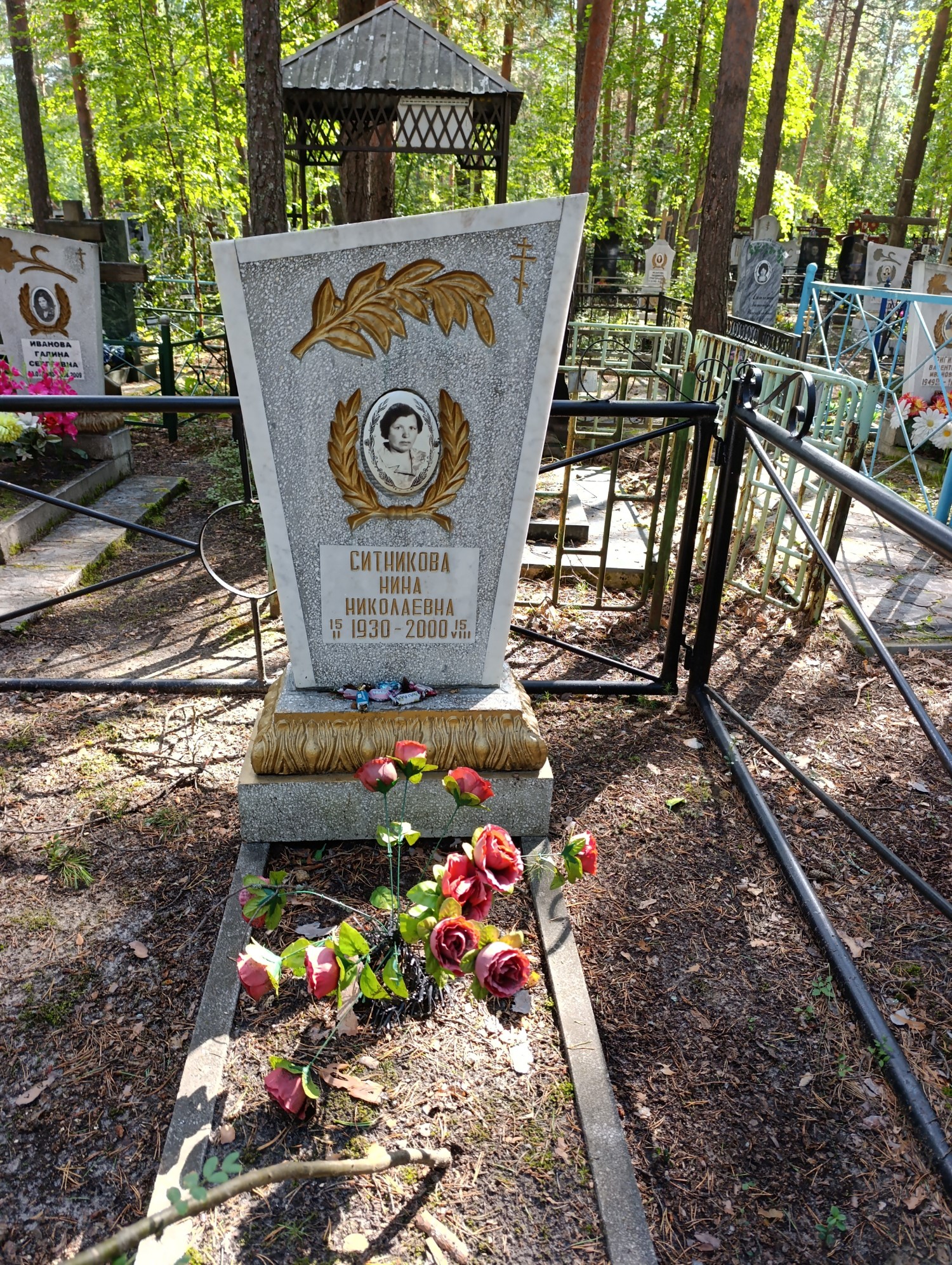Ситникова Нина Николаевна