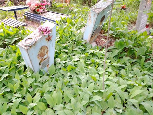 Полежаев Виктор Алексеевич