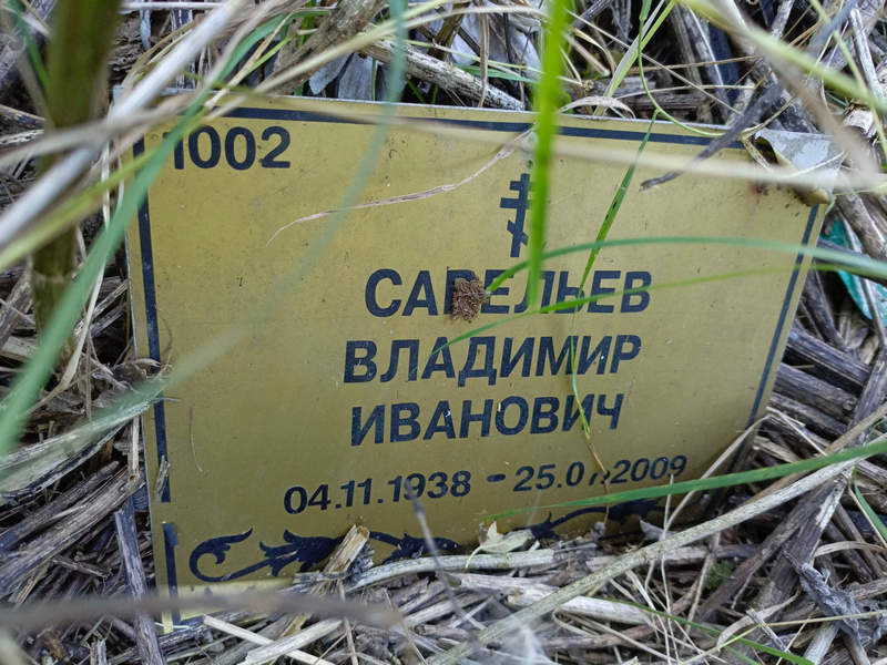 Савельев