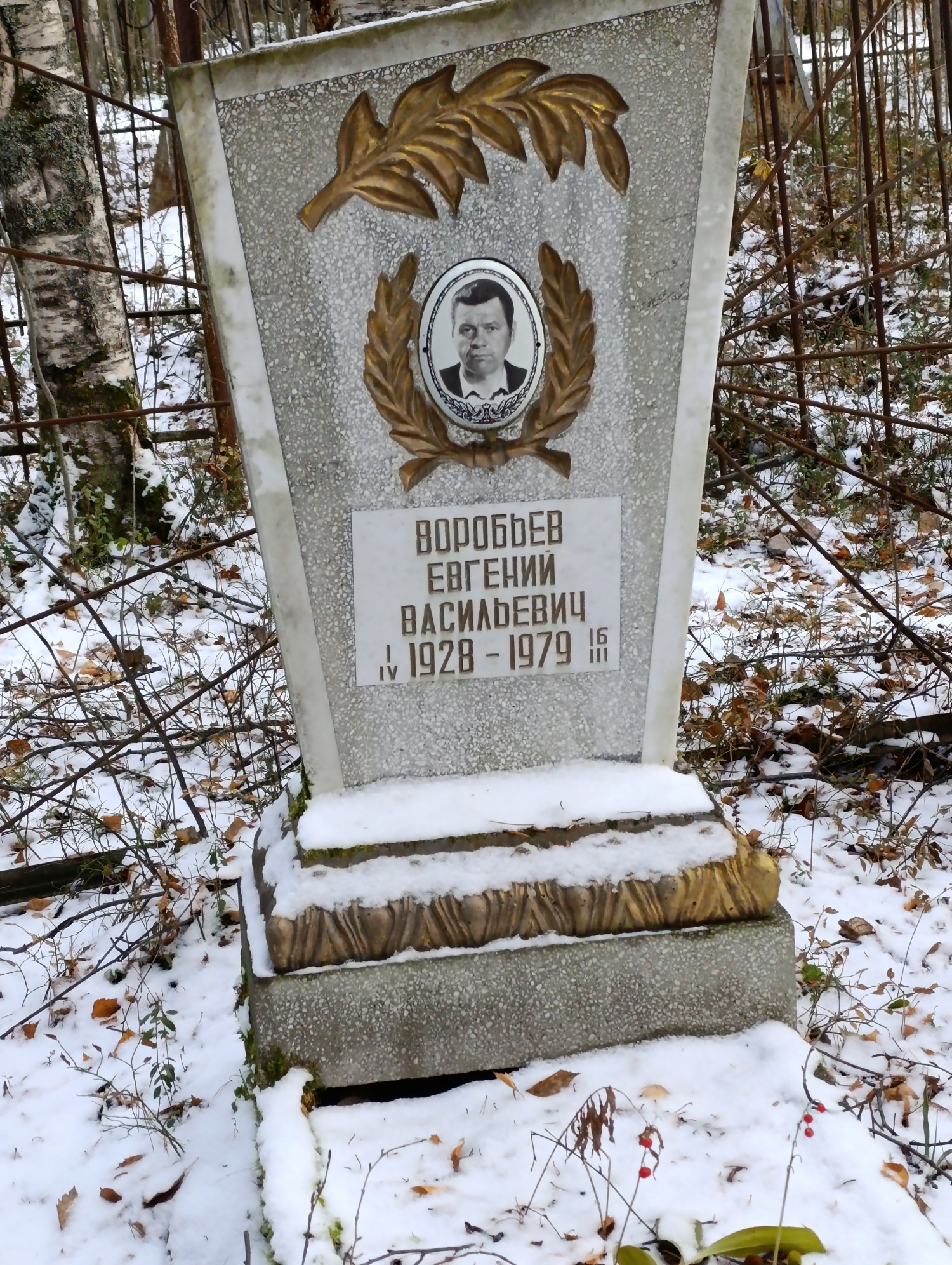 Воробьев Евгений Васильевич