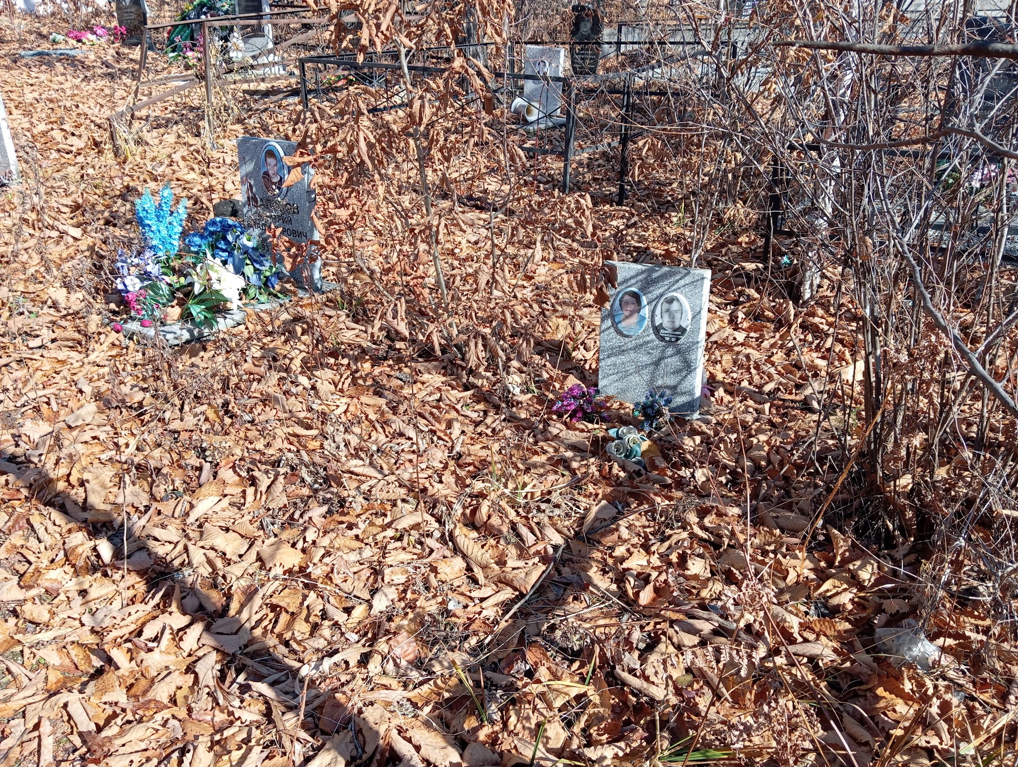 Долгополов Геннадий Дмитриевич