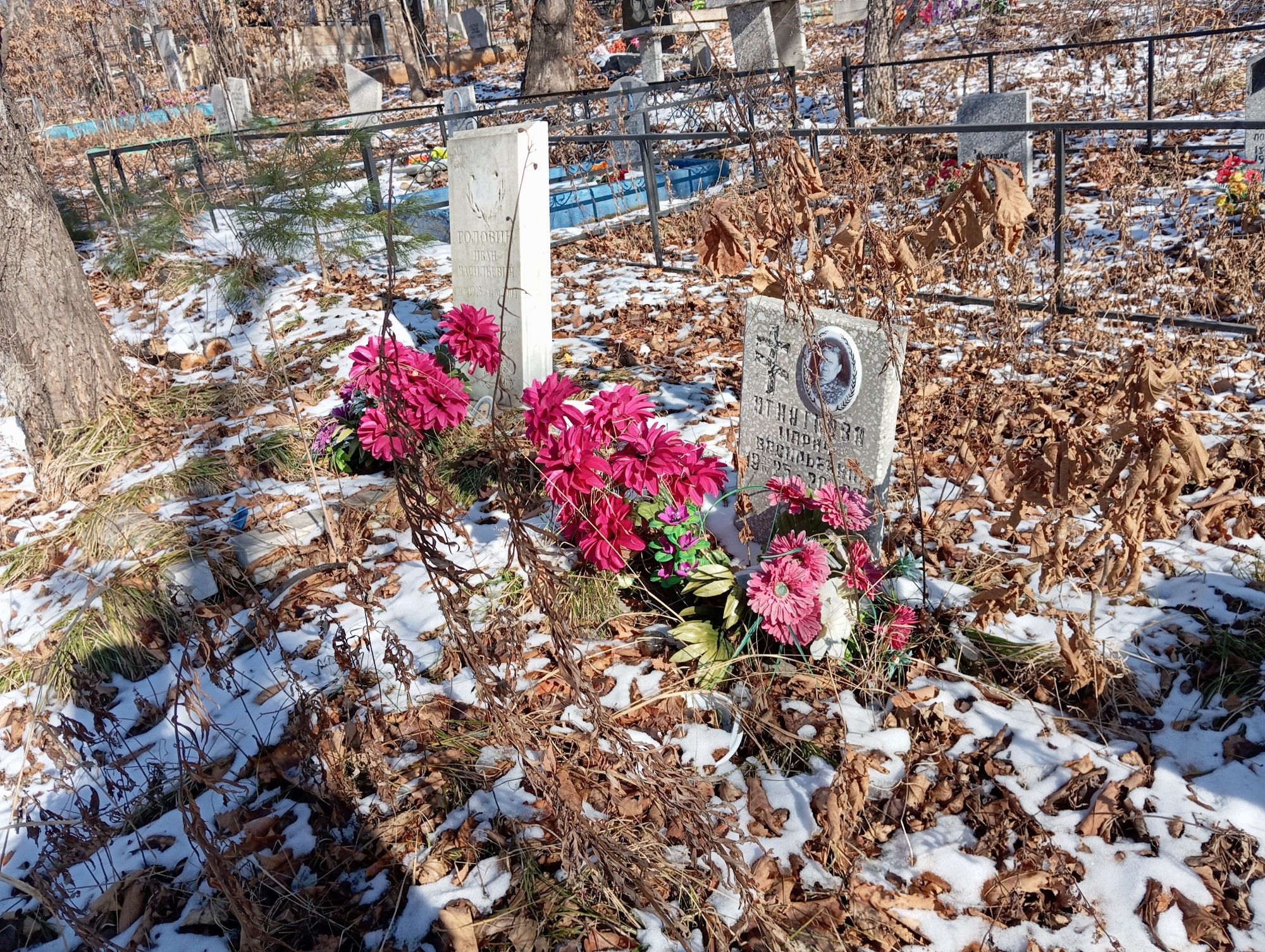 Игнаткова Мария Василеьвна