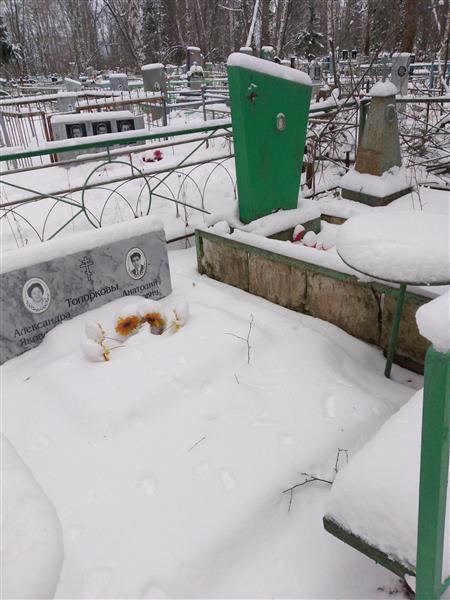 Топоркова Александра Яковлевна