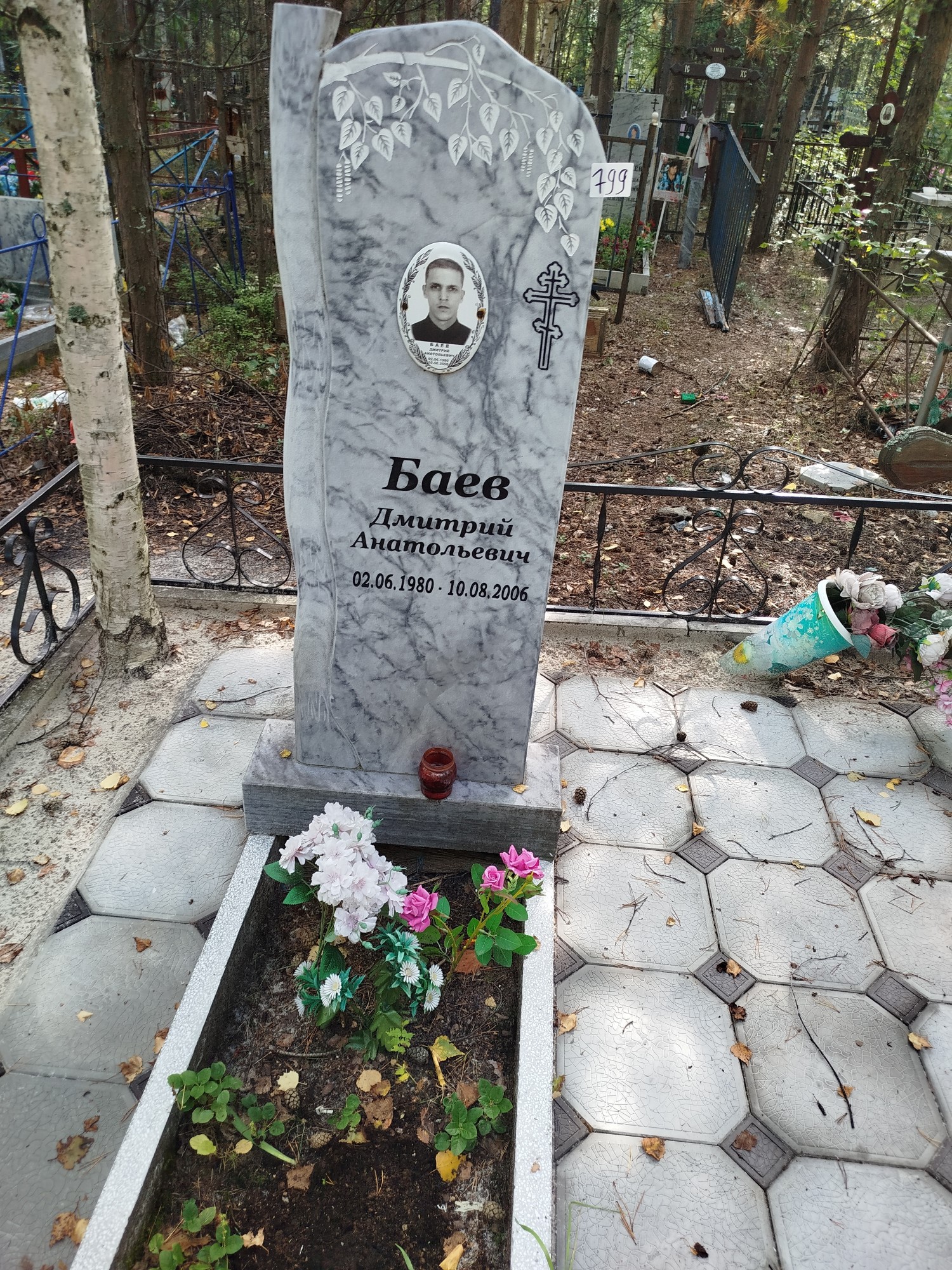 Баев Дмитрий Анатольевич