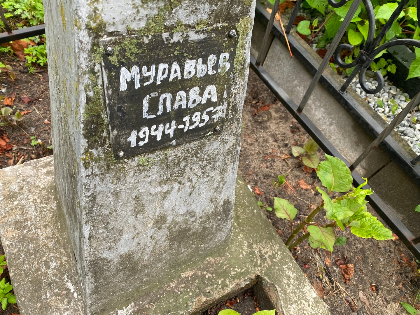 Муравьев Владислав