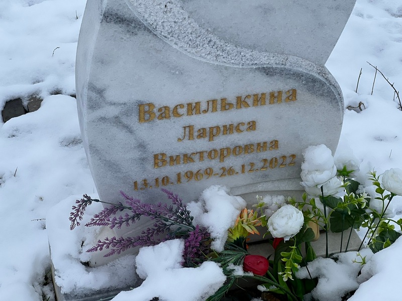 Василькина