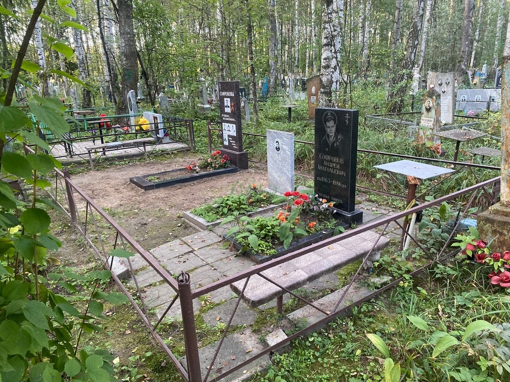 Софронов Анатолий Иванович