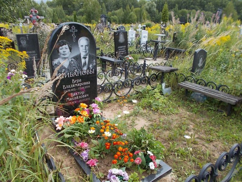 Шибанова Вера Владимировна