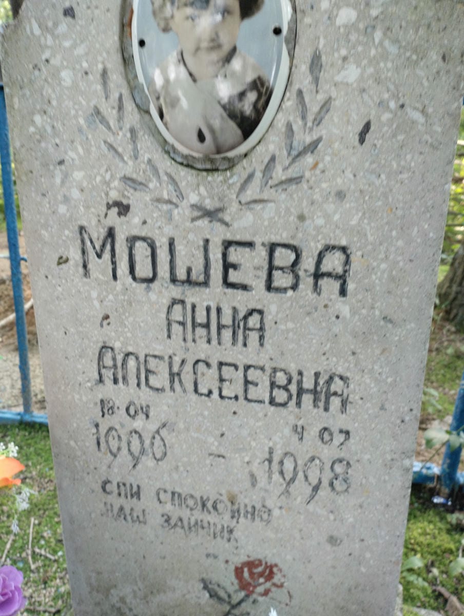 Мошева Анна Алексеевна