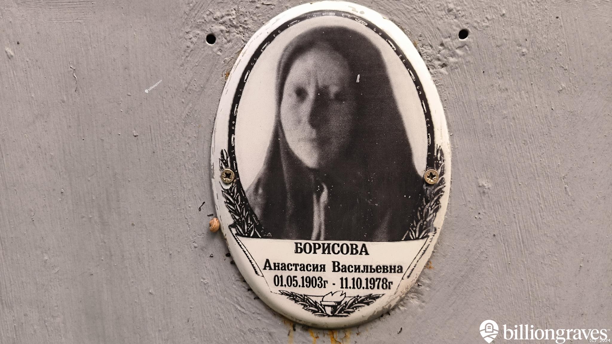 Борисова Анастасия Васильевна