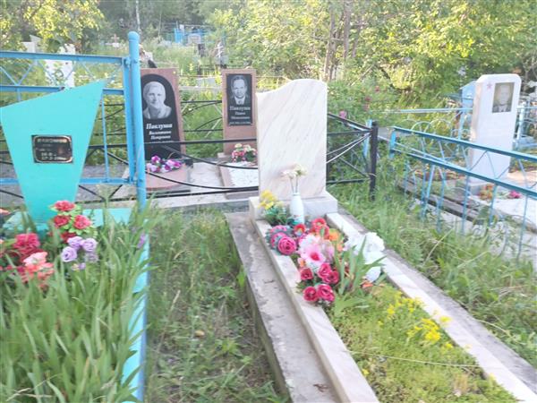 Влохина Анна Николаевна