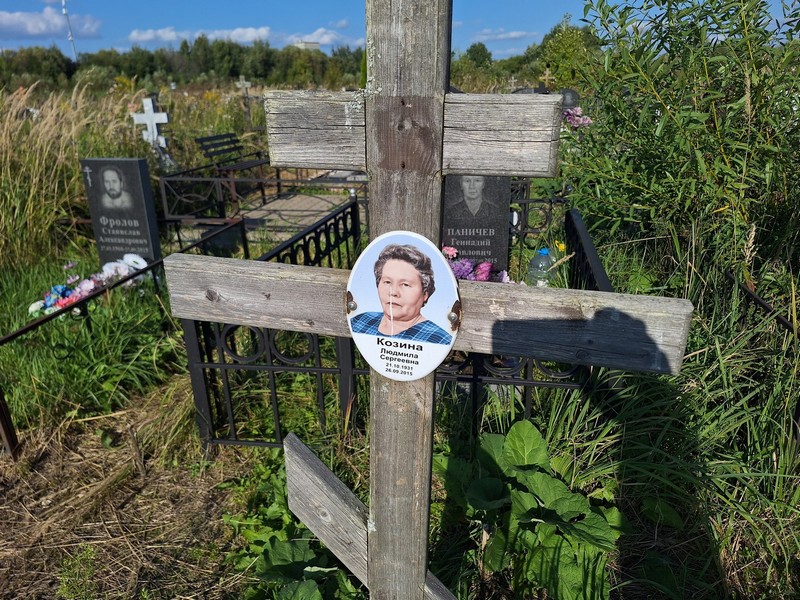 Козина