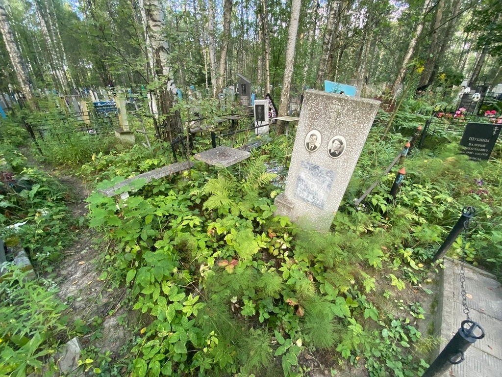 Курникова Татьяна Викторовна