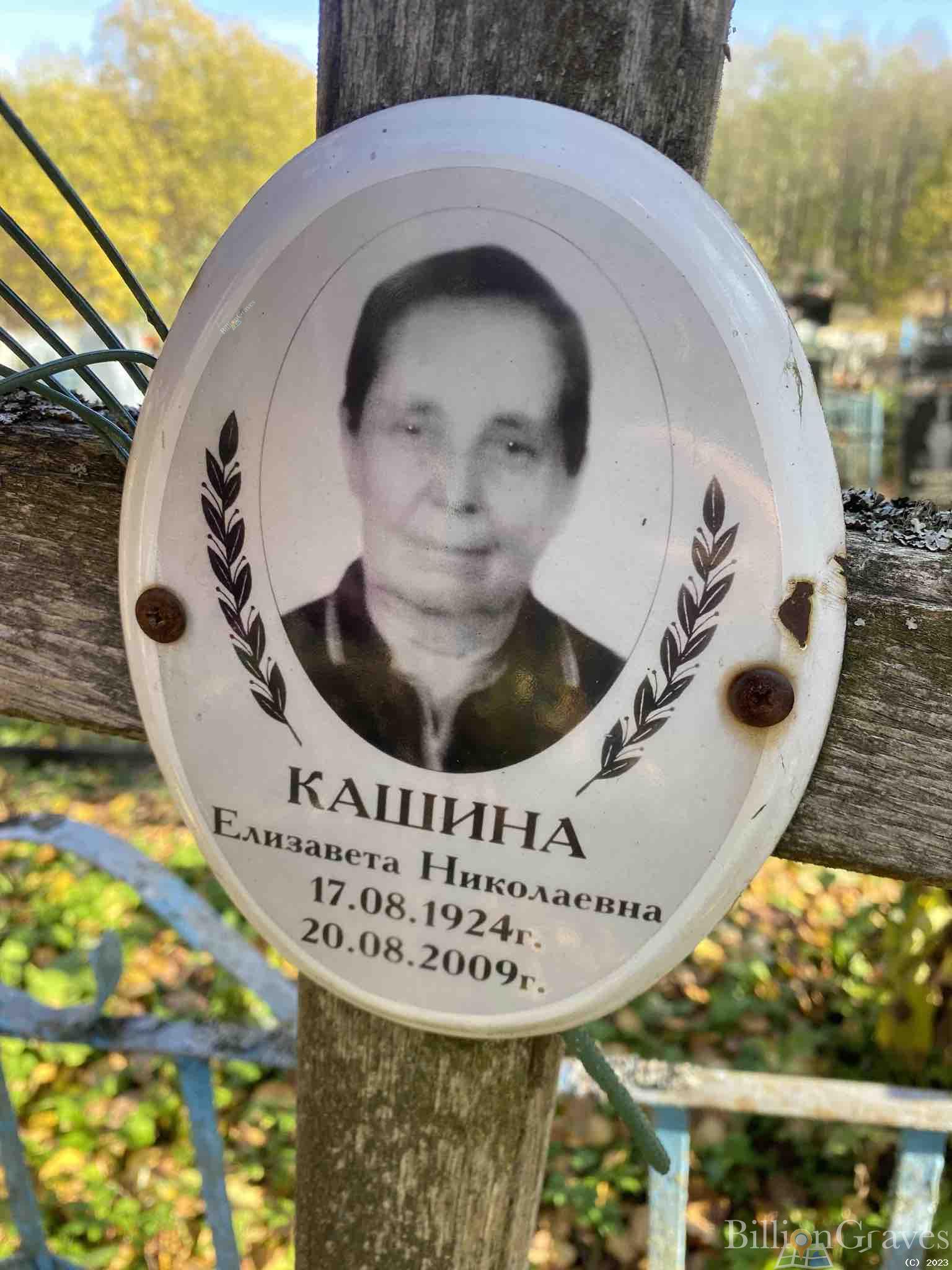 Кашина Елизавета Николаевна