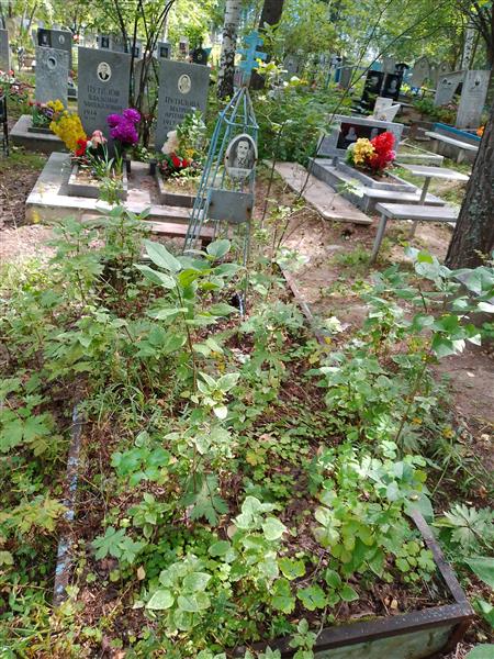Лукашов Егор Петрович